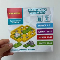 Игра «кошки мышки» - фото 4