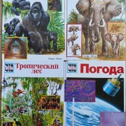 Тело человека - фото 2