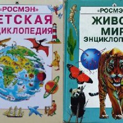 Тело человека - фото 5