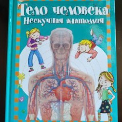 Тело человека - фото 8
