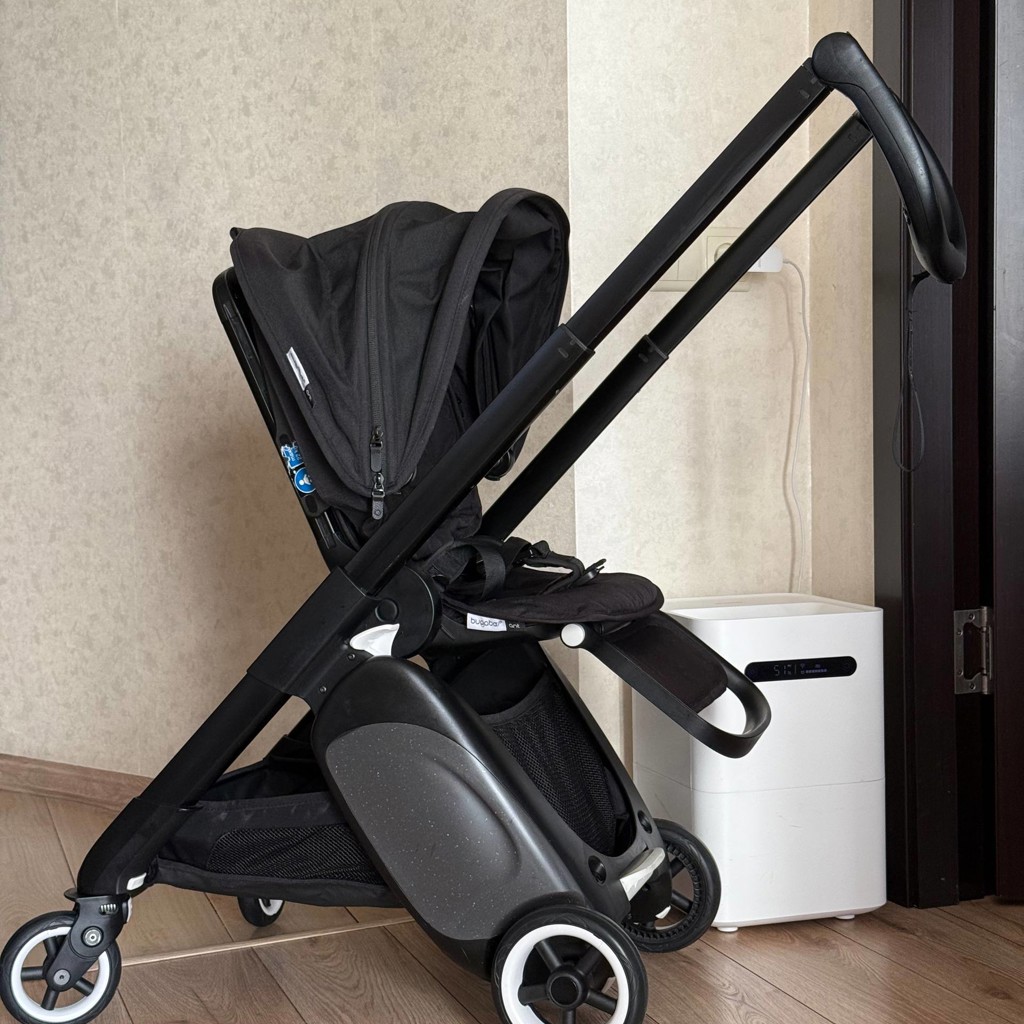 Bugaboo ant