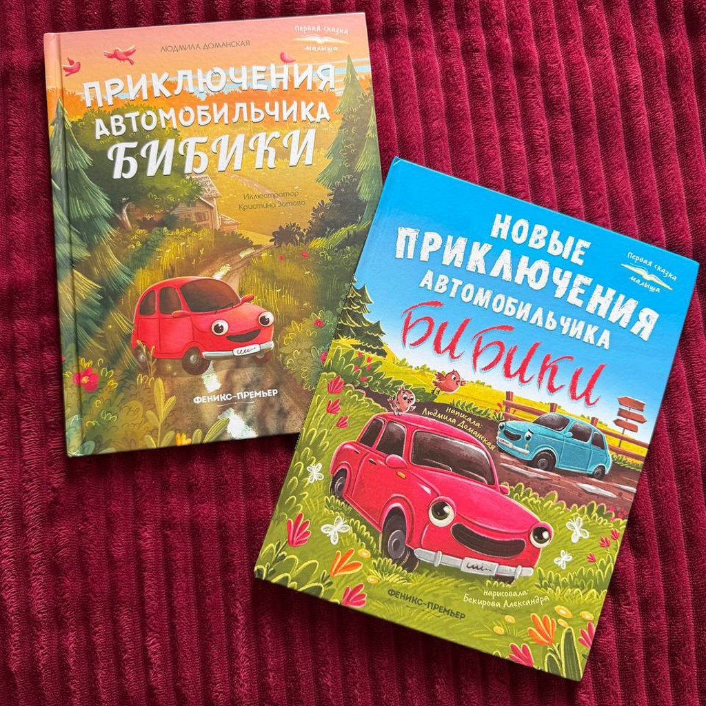Книги про Бибику