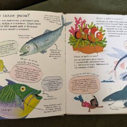 Энциклопедия Подводный мир - фото 2