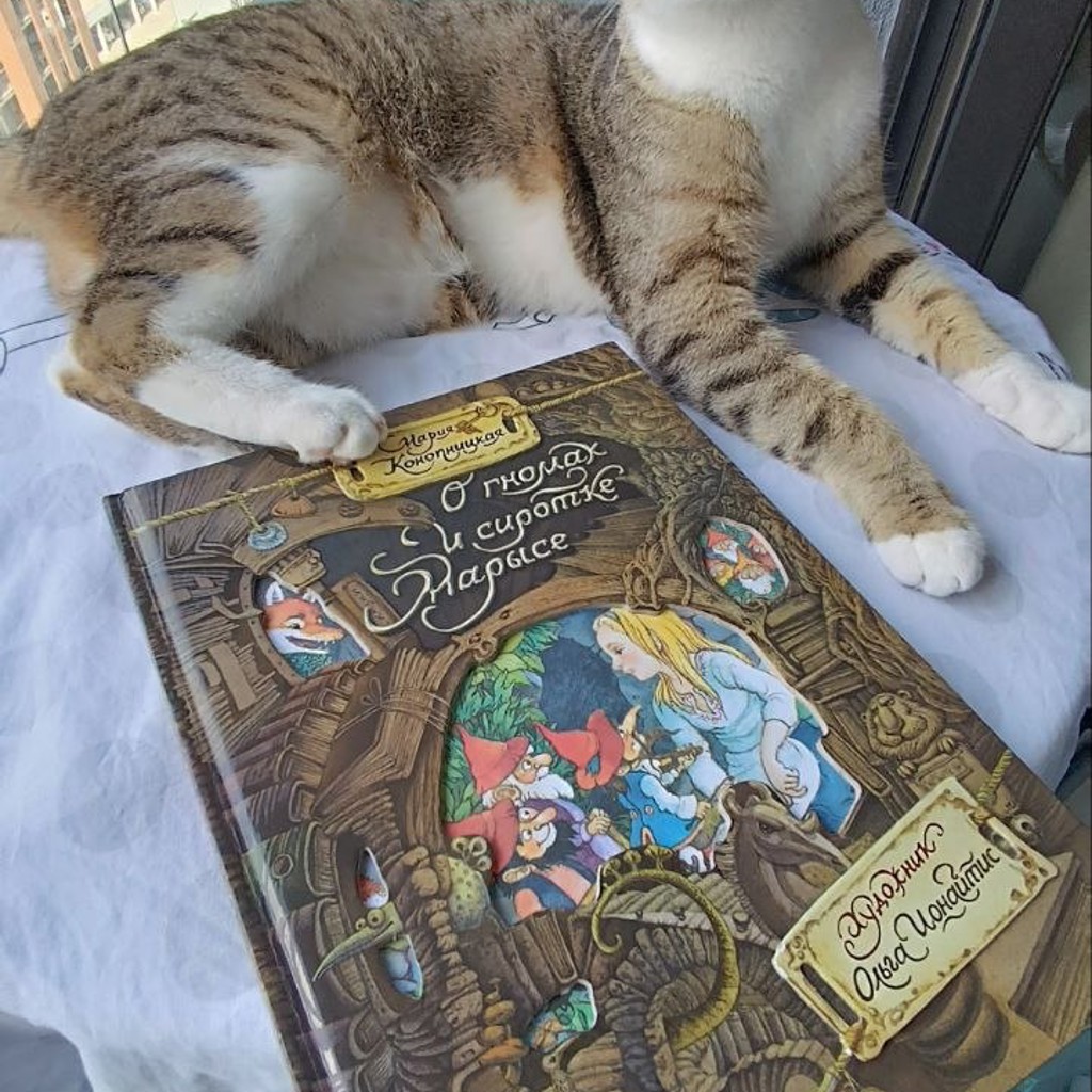 Детская книга О гномах и сиротке Марыси