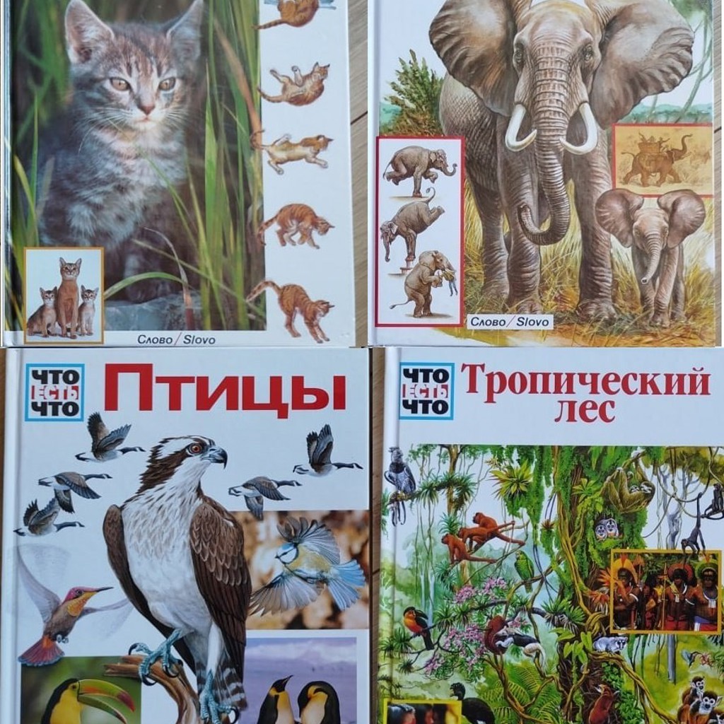 Русский язык