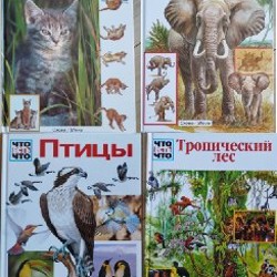 Русский язык - фото 1