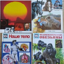 Русский язык - фото 2
