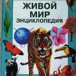 Русский язык - фото 3