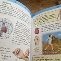 Энциклопедия 'Тело Человека' - фото 5