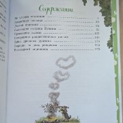 Большая книга волшебного леса - фото 2