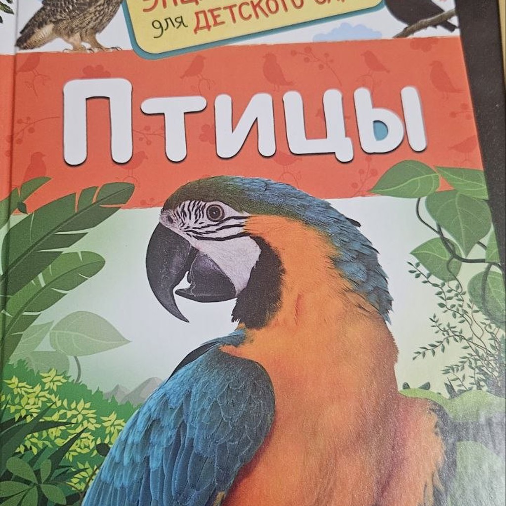 Мини энциклопедия- Птицы