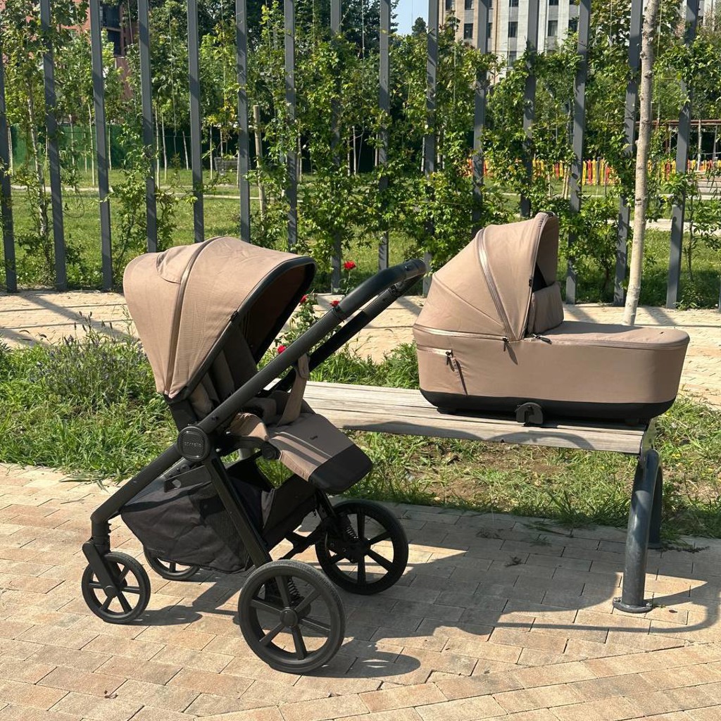Коляска Carrello Omega+ 2 в 1