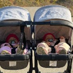 Коляска для двойни Bugaboo Donkey 2 - фото 4