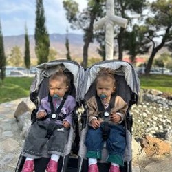 Коляска для двойни Bugaboo Donkey 2 - фото 5
