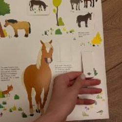 Книги детские - фото 9