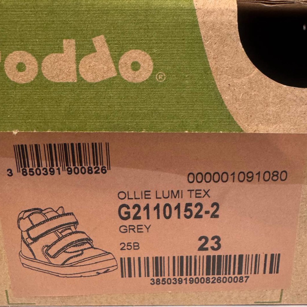 Демисезонные ботинки Froddo