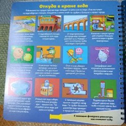 Мир насекомых - фото 3