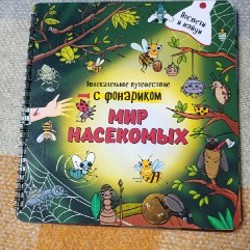 Мир насекомых - фото 5