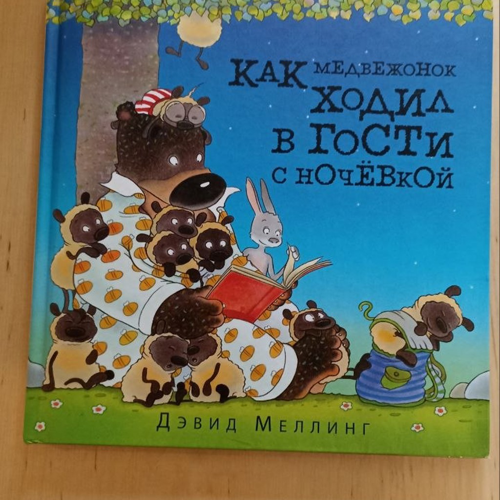 Как медвежонок ходил в гости с ночёвкой