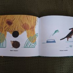 Книга - фото 2
