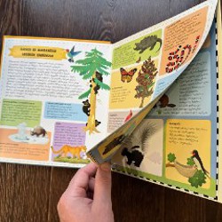 Новая книга на грузинском языке - фото 2