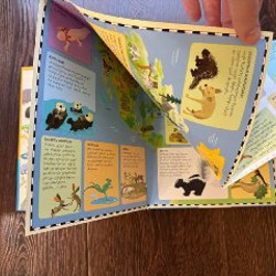 Новая книга на грузинском языке - фото 4