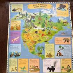 Новая книга на грузинском языке - фото 5