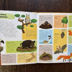 Новая книга на грузинском языке - фото 6