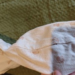 Шорты - фото 6