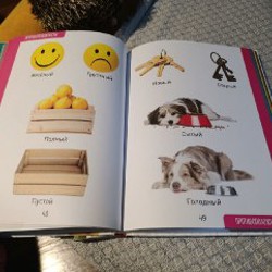 Clever Все, что нужно знать ребенку 3 года - фото 9