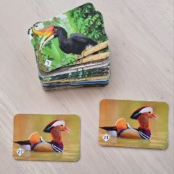 Активити (ходилка) - фото 3