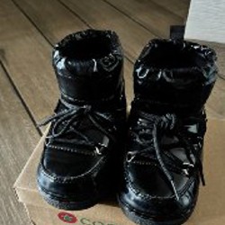 Луноходы - фото 2