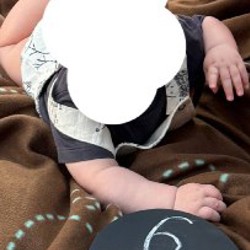 Летний боди с ежиками - фото 2