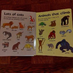 Паша и папа - фото 4