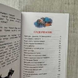 Книги - фото 6