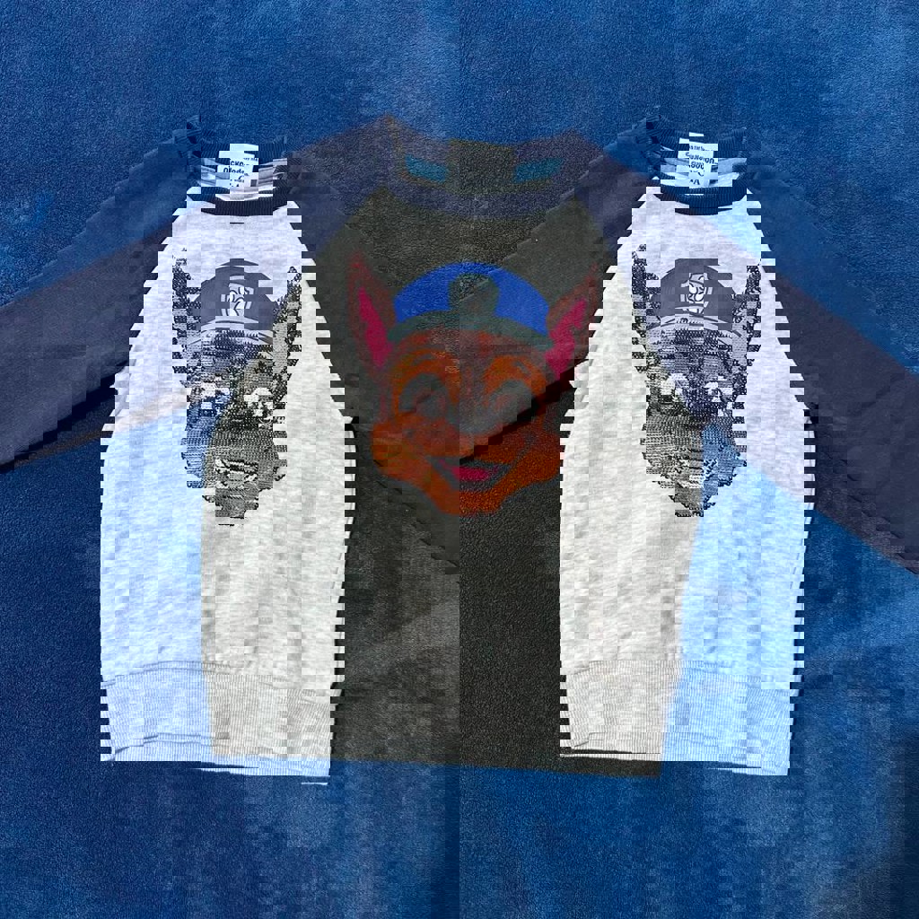 Свитшоты Щенячьего патруля