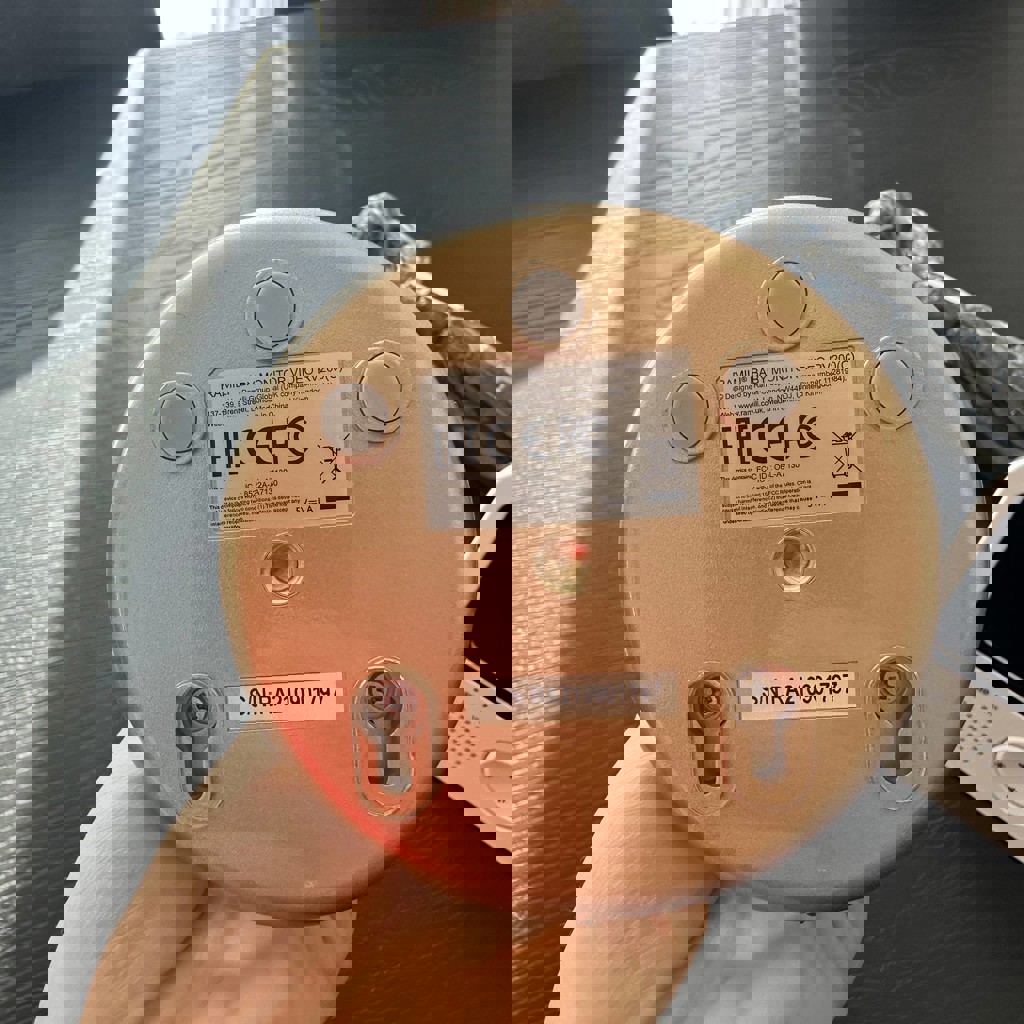 Видеоняня Ramili RV 200(C)