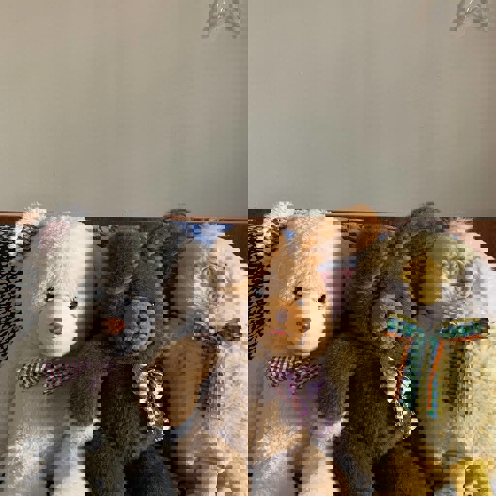 Большая собака