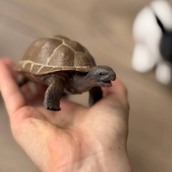 Пазлы - фото 6