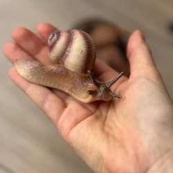 Пазлы - фото 8